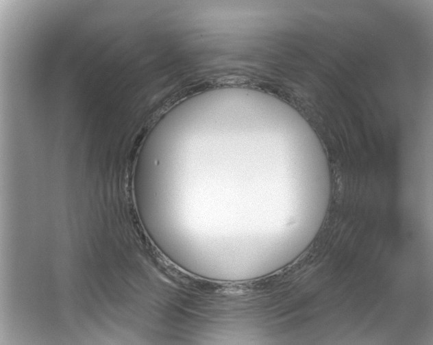 X0000067880745200604131040
