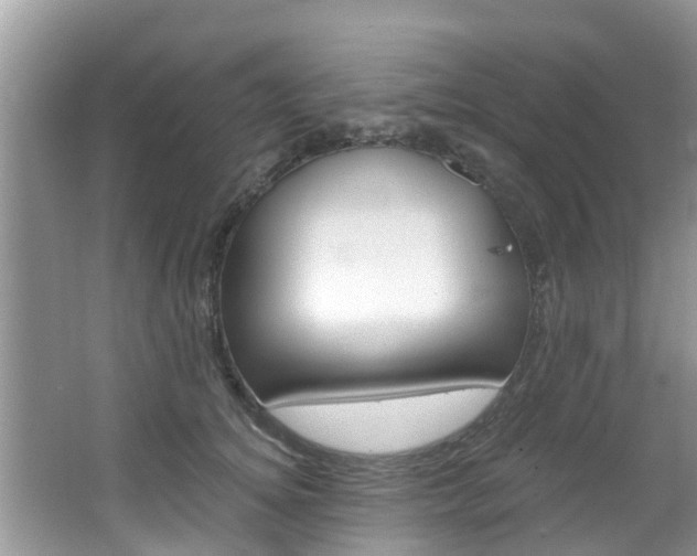 X0000067880756200604131040