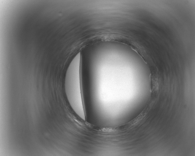 X0000067880766200604131040