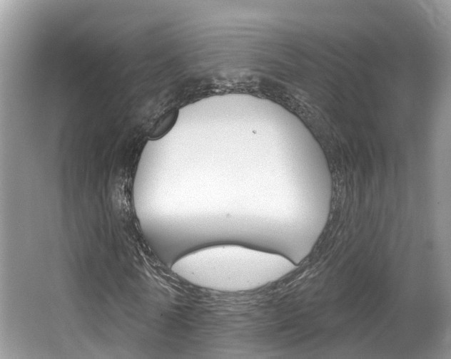 X0000067880770200604131040