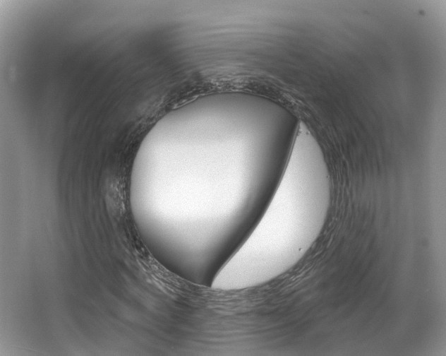 X0000067880772200604131040