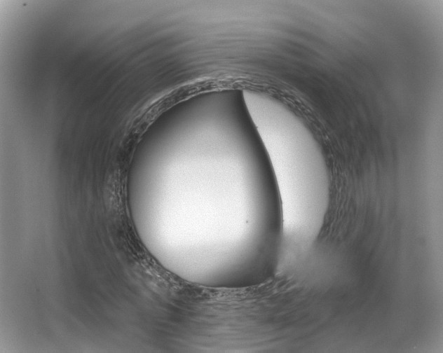 X0000067880773200604131040