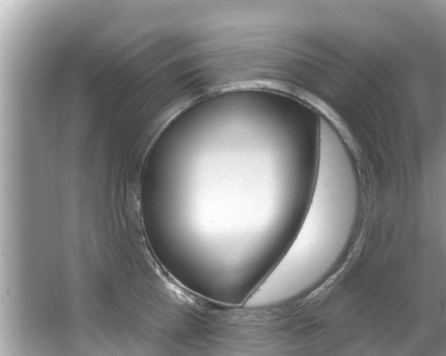 X0000067880809200604131039