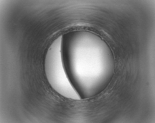 X0000067880821200604131038