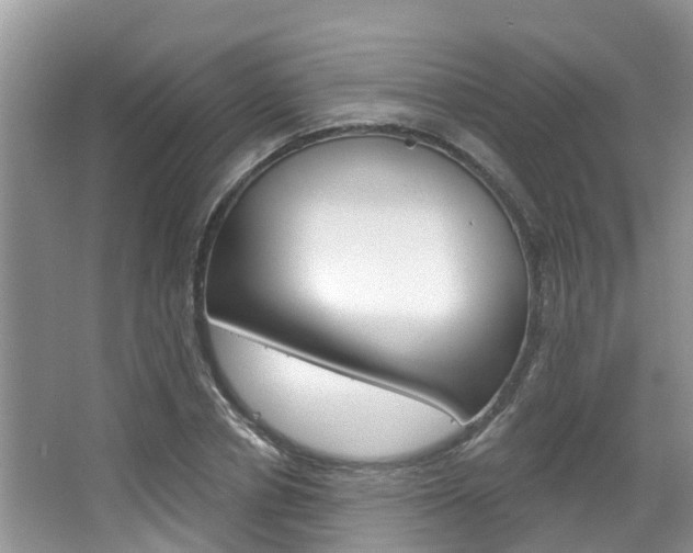 X0000067880834200604131038