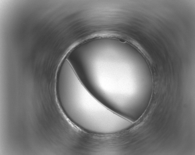 X0000067880853200604131039