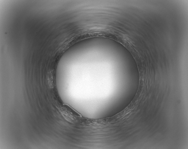 X0000067880868200604131038