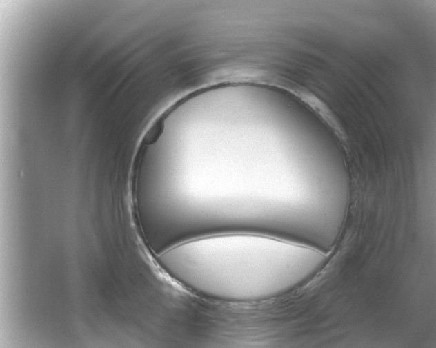 X0000067880904200604131037