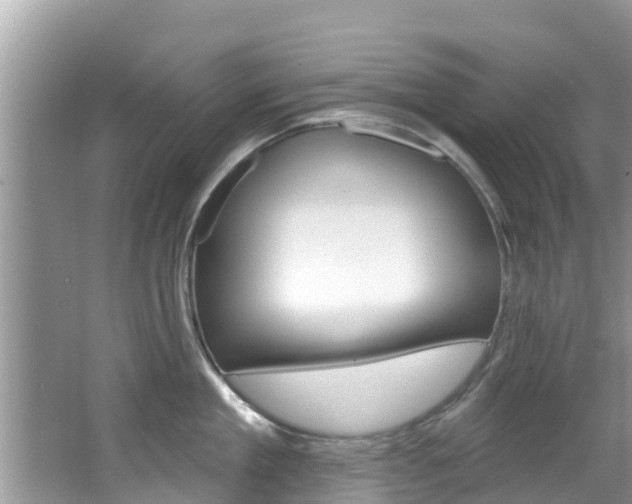 X0000067880909200604131037