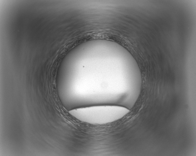 X0000067880913200604131036