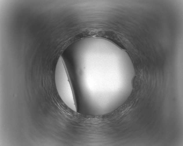 X0000067880914200604131036