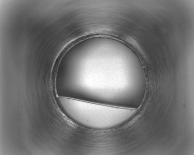 X0000067880924200604131037
