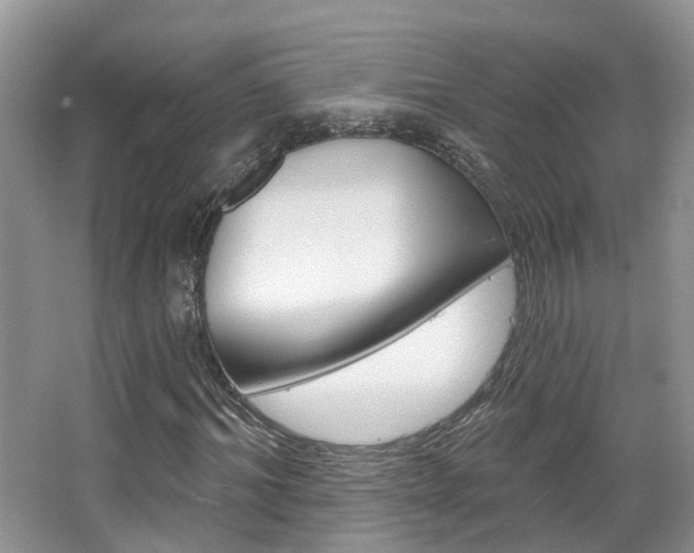 X0000067880964200604131036