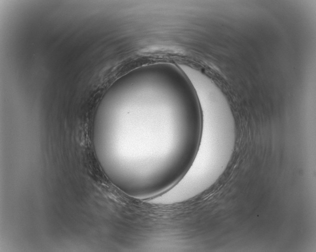 X0000067880965200604131036