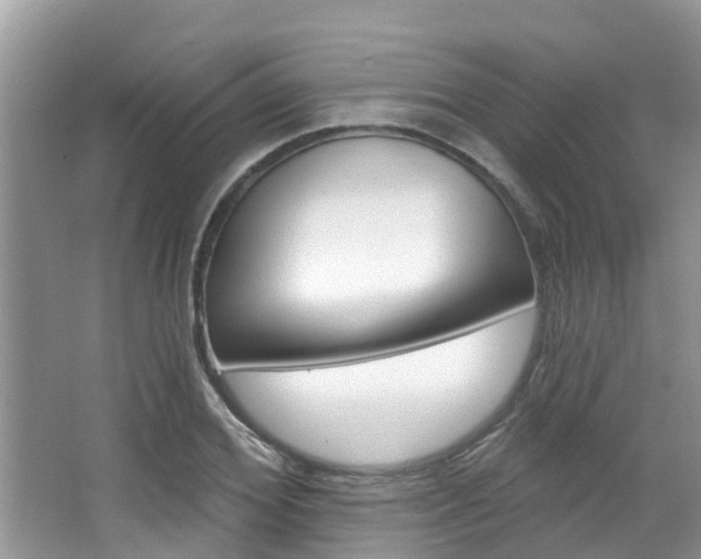 X0000067880980200604131036