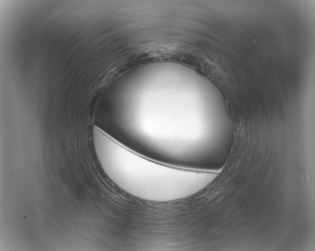 X0000067881012200604131035