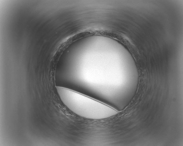 X0000067881016200604131035