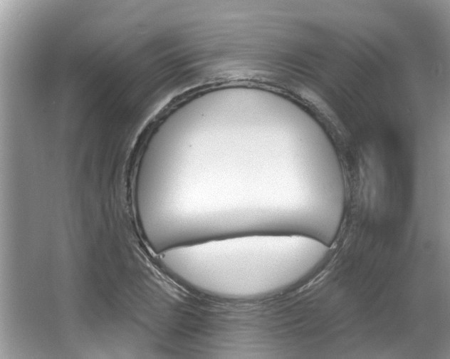 X0000067881023200604131035