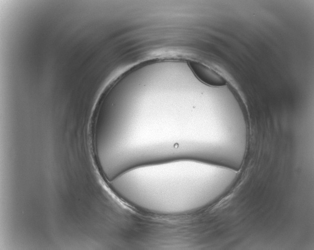 X0000067881045200604131035