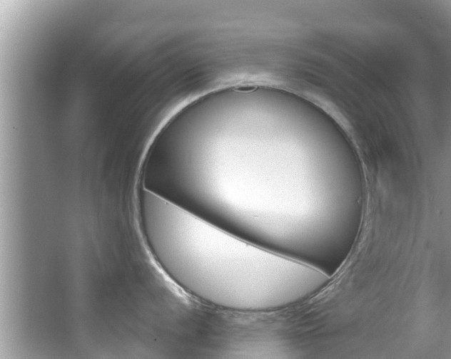 X0000067881056200604131036