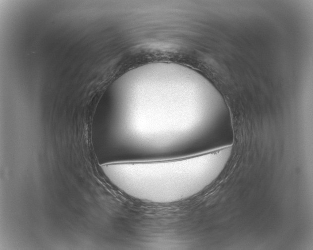 X0000067881061200604131035