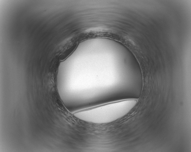 X0000067881062200604131035