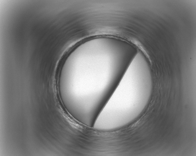 X0000067881072200604131035