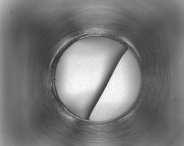 X0000067881075200604131034