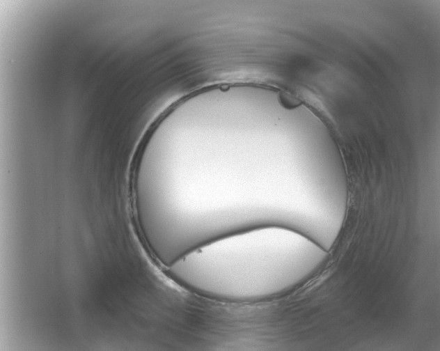 X0000067881087200604131034