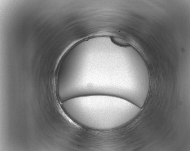 X0000067881092200604131034