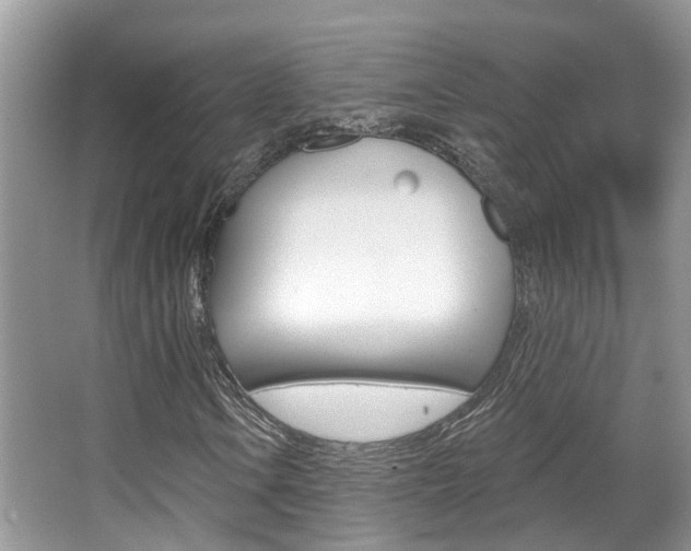 X0000067881106200604131033