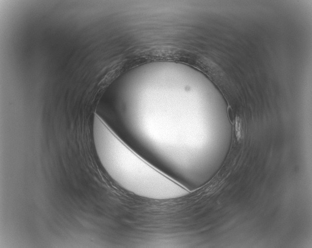 X0000067881107200604131033