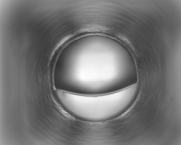 X0000067881114200604131033
