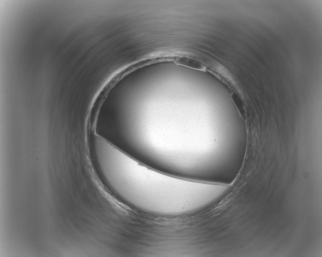 X0000067881124200604131033