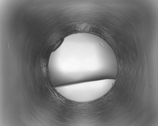 X0000067881154200604131033