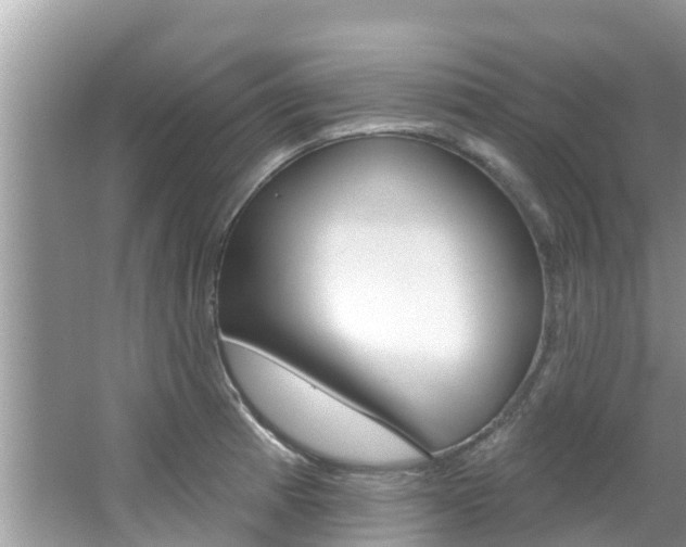 X0000067881185200604131033