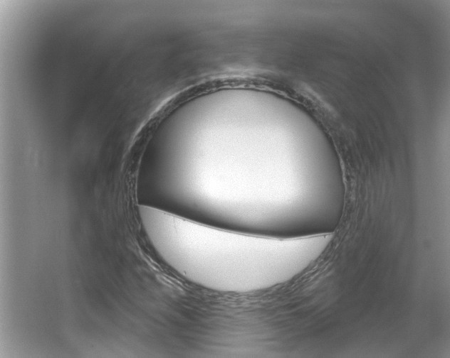 X0000067881208200604131032