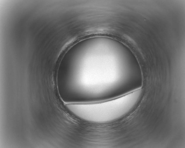 X0000067881218200604131032