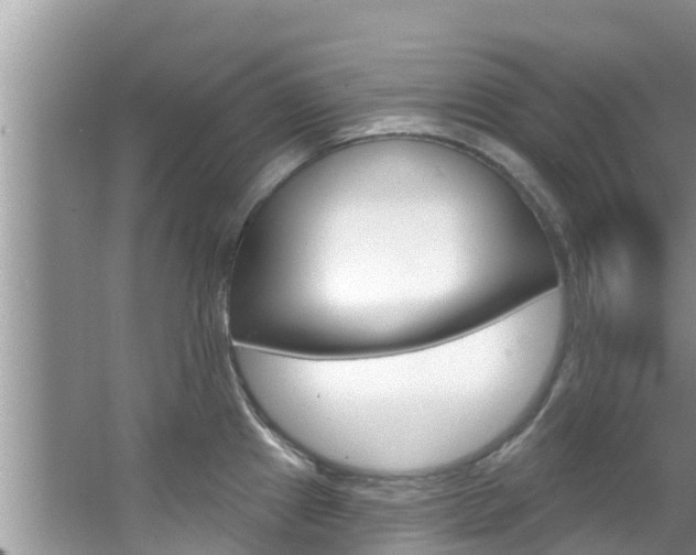 X0000067881241200604131032