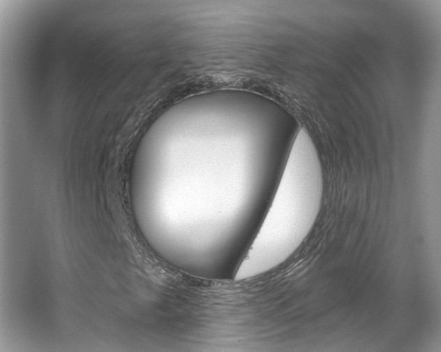 X0000067881249200604131032