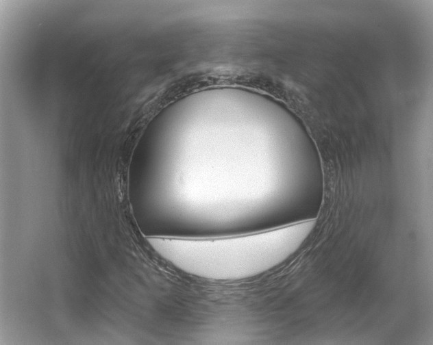 X0000067881253200604131031