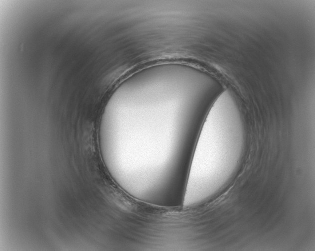 X0000067881265200604131031