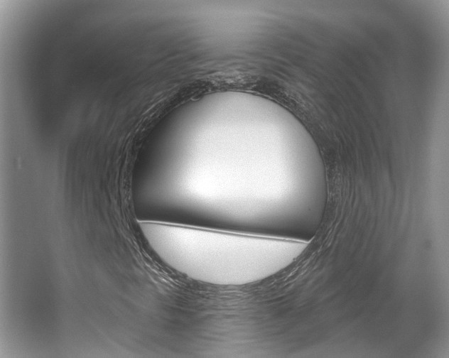 X0000067881297200604131030