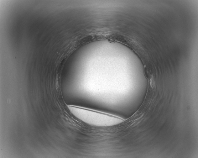 X0000067881299200604131030