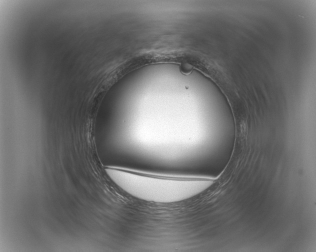 X0000067881300200604131030