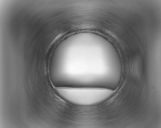 X0000067881306200604131030