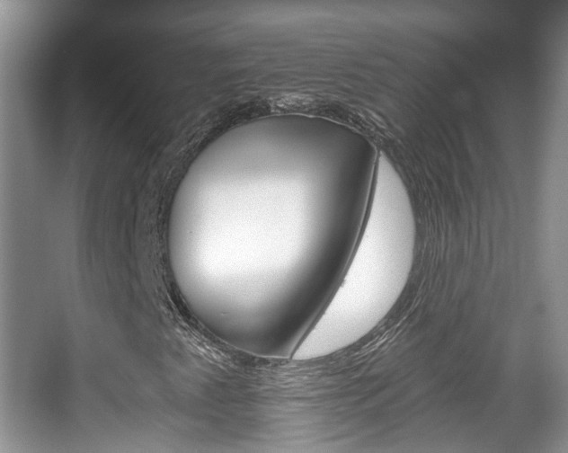 X0000067881345200604131030