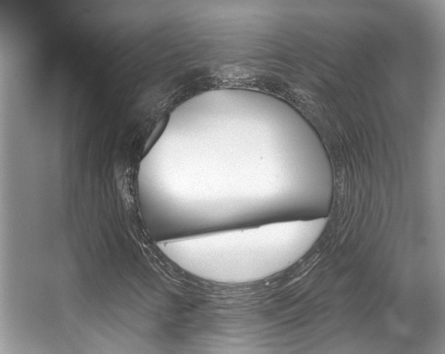 X0000067881346200604131030