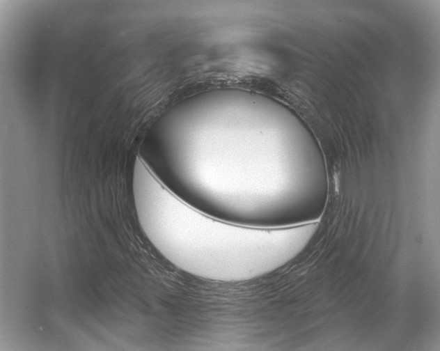 X0000067881347200604131030