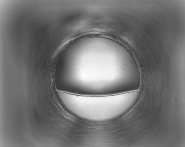 X0000067881355200604131030